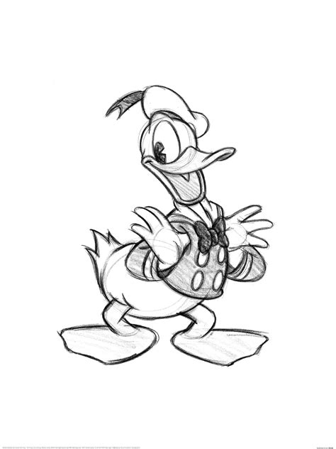 Donald Duck Outline Ubicaciondepersonascdmxgobmx