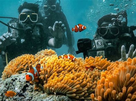 Scuba Diving In Neil Island Cost And Details Experience Andamans