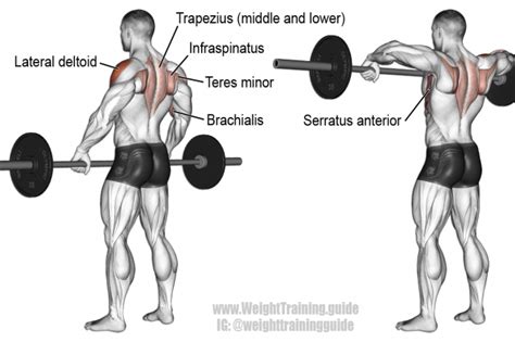 Barbell Wide Grip Upright Row Exercise Workout Guide Barbell Workout