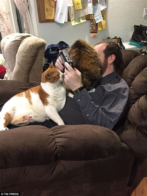Cat Owners Share Hilarious Photos Of Their Very Clingy Moggies Funny