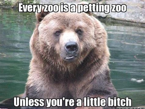 Pin By Stephen Bruner On Funny Stuff Zoo Animals Funny Animal
