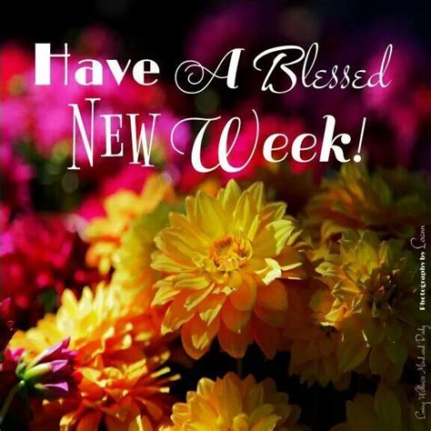 Have A Blessed New Week Monday Good Morning Happy Monday New Week Good