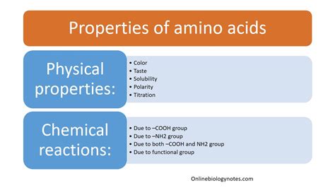 20 Types Of Amino Acids Biochemistry Biochemistry Not Vrogue Co