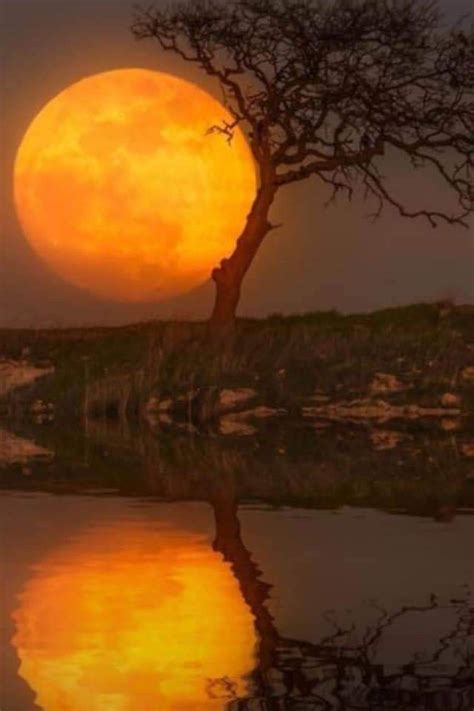Pin By Linda Shanes On Full Moon Beautiful Landscapes Landscape Outdoor