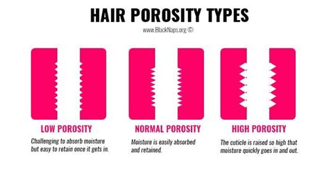 Hair Porosity Types High Medium And Low Porosity Hair Low Porosity