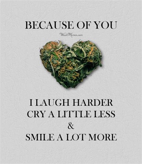 We did not find results for: Love Weed Quote Because Of You Marijuana Quote Weed Memes