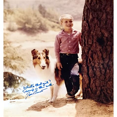 Jon Provost Timmy From Lassie Original Signed 11x14 Includes The Inscripton Whats That Girl T