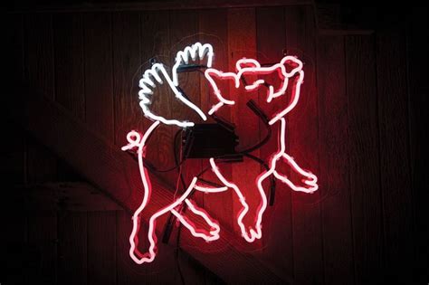 Flying Pig Glass Neon Sign Neon Signs Custom Neon Signs Neon Sign Art