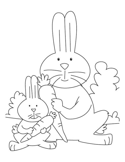 Bunny With Carrot Coloring Pages At Free Printable