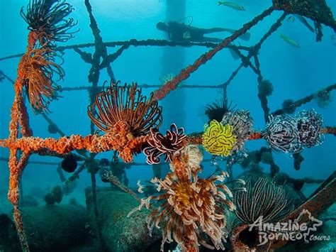 · apa anda rasa kalau nampak air begini? Mabul Island: Seaventures Dive Resort (Dive Rig) - Amazing ...