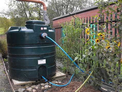 How To Make A Self Watering Garden System Blakes Garden Green Blog
