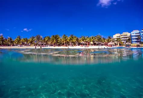 Blue Bay Beach Curacao Vacances Dans Les Caraïbes