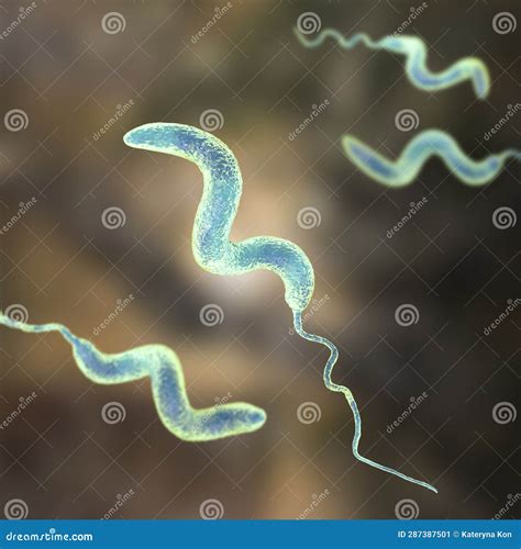 Campylobacter Bacteria 3d Illustration Stock Illustration