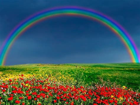 Natural Rainbow Wallpapers Top Free Natural Rainbow Backgrounds WallpaperAccess