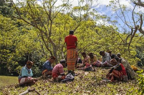 Pemetaan Syarat Awal Pengakuan Hak Masyarakat Adat National Geographic