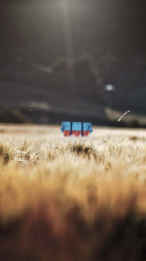 Download zedge™ app to view this premium item. Abandoned Crate PlayerUnknown's Battlegrounds (PUBG) 4K ...