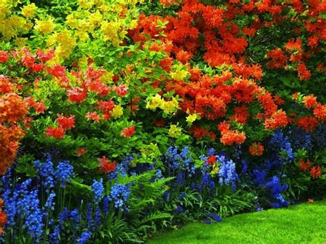So Colorful Shade Garden Plants Backyard Flowers Colorful Shrubs