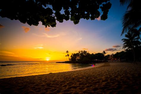 Paradise Cove Events