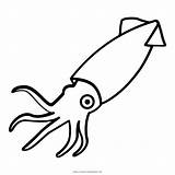 Squid Icon Drawing Clipart Animal Sea Calamari Cartoon Printable Coloring Seafood Transparent Ocean Cephalopod Icons Webstockreview Outlines Iconfinder Getdrawings Library sketch template