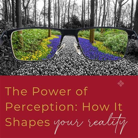The Power Of Perception How It Shapes Your Reality