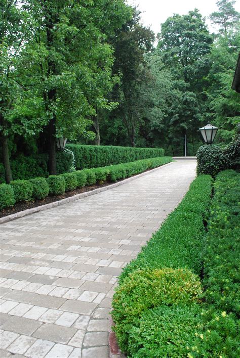 Love This Drive Driveway Entrance Landscaping Driveway Landscaping