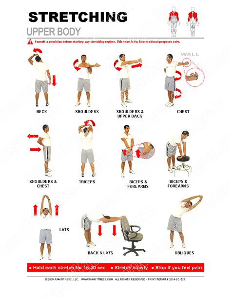 Upper Body Stretching Guide