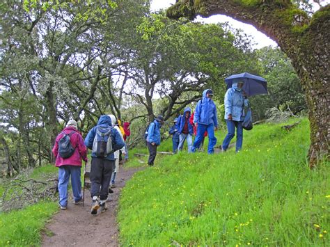 Meandering In Marin On Tuesdays Indian Valley Open Space Hike 329