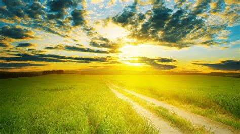 Sunshine background with sunflower details. Sunshine Wallpapers - Top Free Sunshine Backgrounds ...