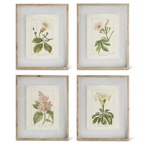 Botanical Print Shadow Box Set Of 4 Framed Botanical Prints