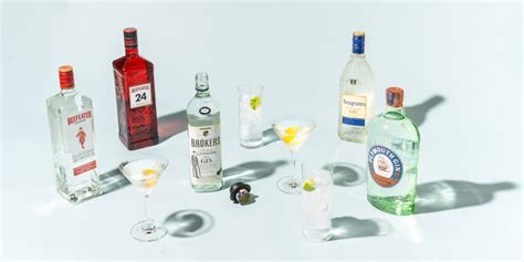 12 Best Gins 2021 Reviews By Wirecutter