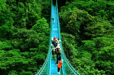 We did not find results for: Witch's Rock Canopy Tour - Costa Rica - Best Destinations ...