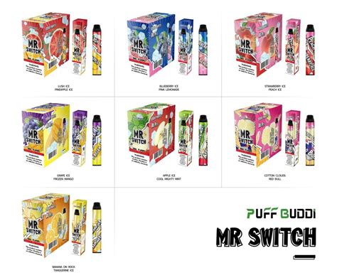 Puff Buddi Mr Switch Disposable Dual Flavors Thaivapes ขายบุหรี่ไฟฟ้า