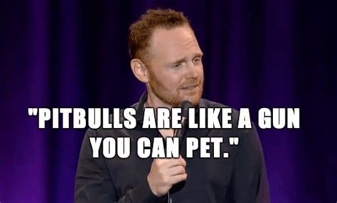 25 Bill Burr Jokes Are Perfect Life Advice With Images Bill Burr Life Advice Jokes