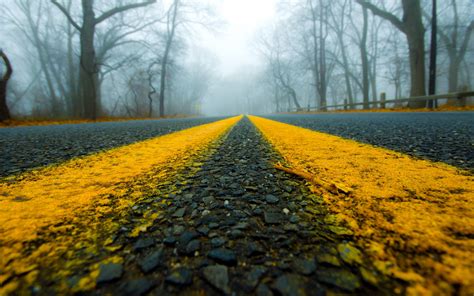 Every image can be used for free for both commercial and personal uses thanks. High resolution picture of road, image of macro, fog ...