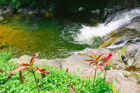 Maybe you would like to learn more about one of these? Tiket Masuk Tekaan Telu Waterfall : Cheap Price Hotels Near Indah Tateli Beach Tiket Com / Jika ...