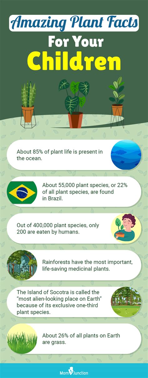 16 Fun Facts For Plants Badenboushra