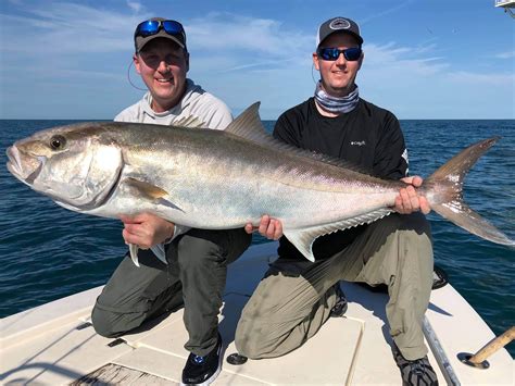 Whether you prefer to fish from a boat or a pier, for gamefish or dinner, florida saltwater fishing has what you're looking for. Florida Saltwater Fishing 10692