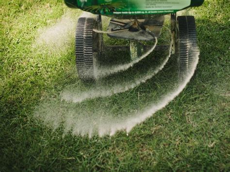 25 Biggest Landscaping Mistakes Lawn Fertilizer Lawn Care Lawn And