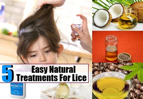 Pin By Fogut On Home Remedies For Lice Proper Hygiene Lice Remedies