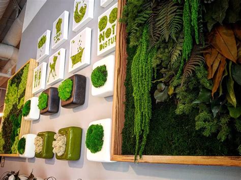What Is Green Wall Art And What Benefits Do They Provide