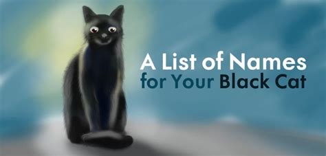 250+ Cool, Unique, and Creative Names for Your Black Cat | Cats, Names