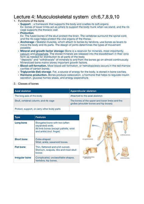 Learning Goals Musculoskeletal System Lecture 4 Musculoskeletal