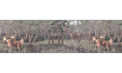 Free Download Home Animal Borders Deer Moose Deers Wallpaper Border