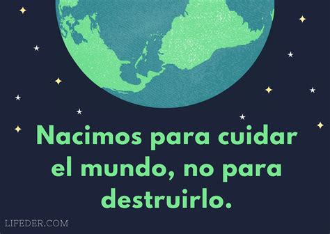 100 Frases Para Cuidar El Medio Ambiente Y La Naturaleza Cortas