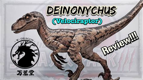 W Dragon 18 Deinonychus Velociraptor Review Incredible Jurassic Park 3 Youtube