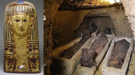 Hallan 50 Momias En Catacumbas Subterráneas De Egipto Mystery Science