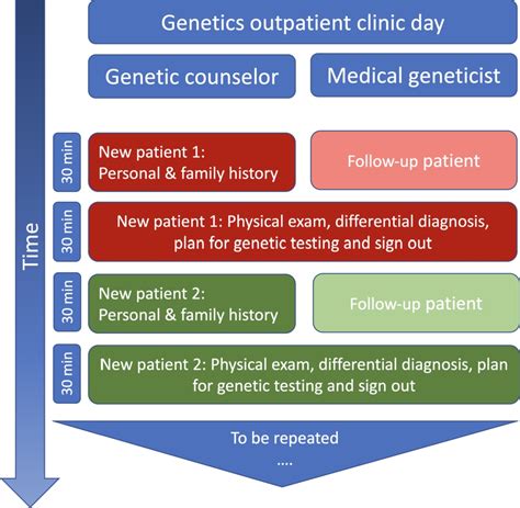 Genetic Counseling And The Role Of Genetic Counselors In The United States