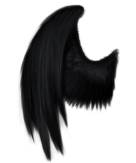 Demon Wings Side View Download Png Image Png Arts