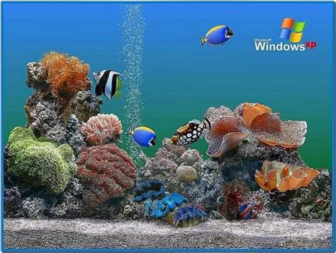 Windows Xp Fish Screensaver Windows 7 Download Screensaversbiz