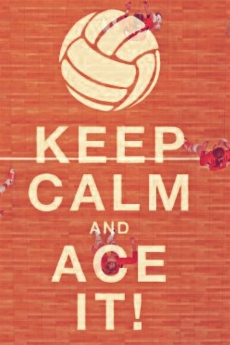 Volleyball Volleyball Quotes Volleyball Volleyball Posters